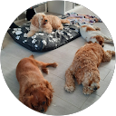 Emily profile picture